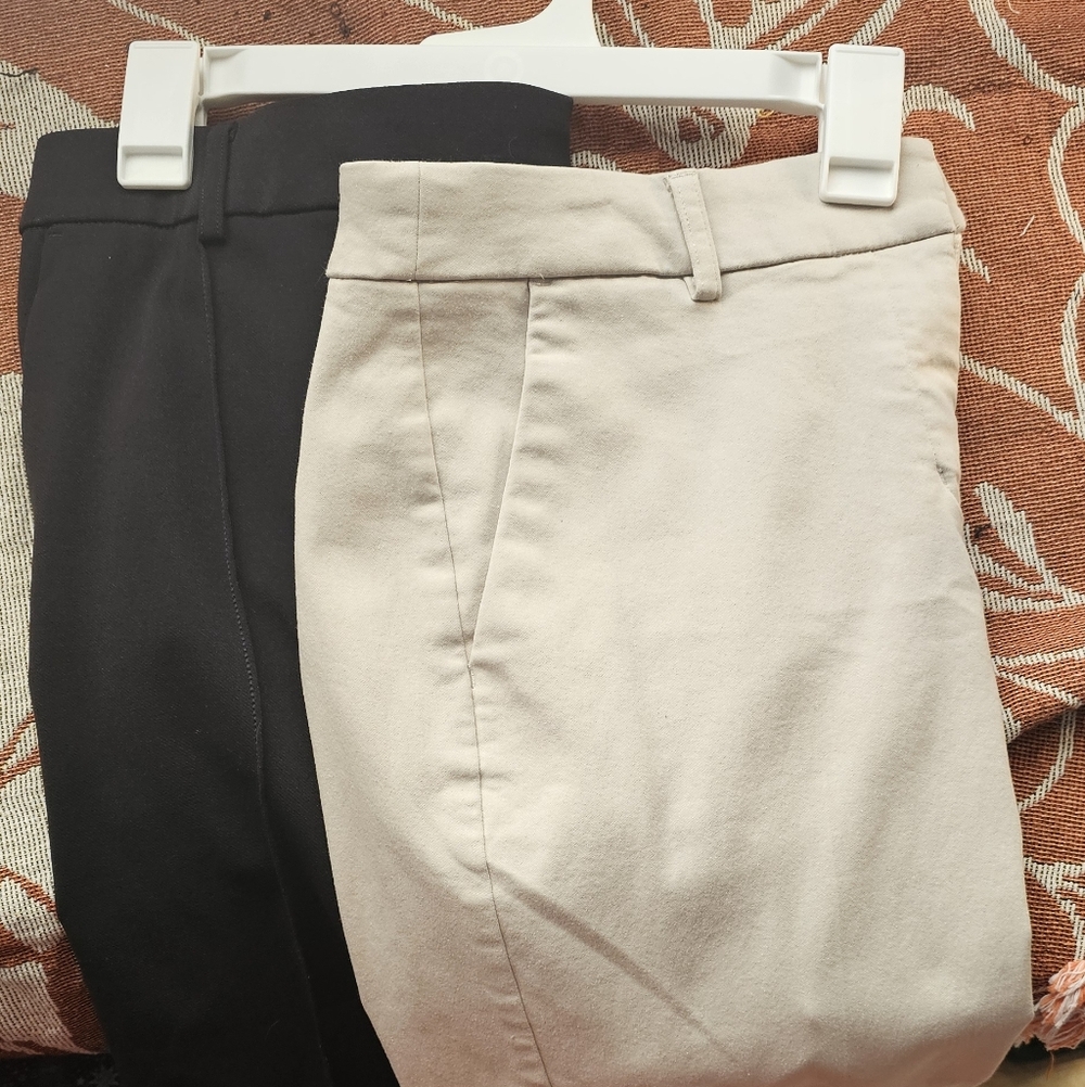 Express Black and Brown Pants